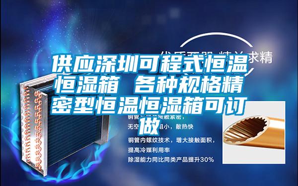 供應(yīng)深圳可程式恒溫恒濕箱 各種規(guī)格精密型恒溫恒濕箱可訂做