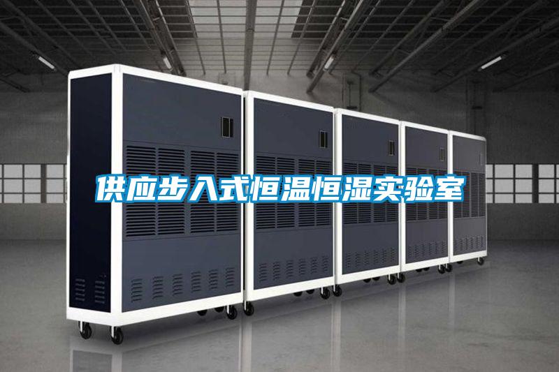 供應步入式恒溫恒濕實驗室