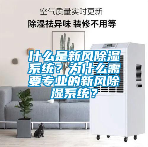 什么是新風除濕系統？為什么需要專業的新風除濕系統？