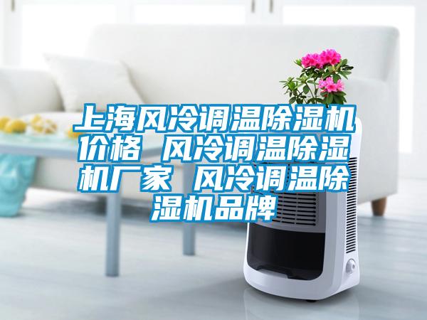 上海風(fēng)冷調(diào)溫除濕機(jī)價(jià)格 風(fēng)冷調(diào)溫除濕機(jī)廠家 風(fēng)冷調(diào)溫除濕機(jī)品牌