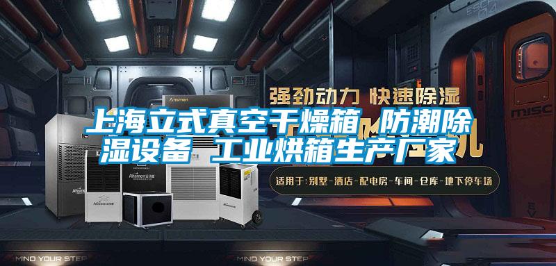 上海立式真空干燥箱 防潮除濕設(shè)備 工業(yè)烘箱生產(chǎn)廠家