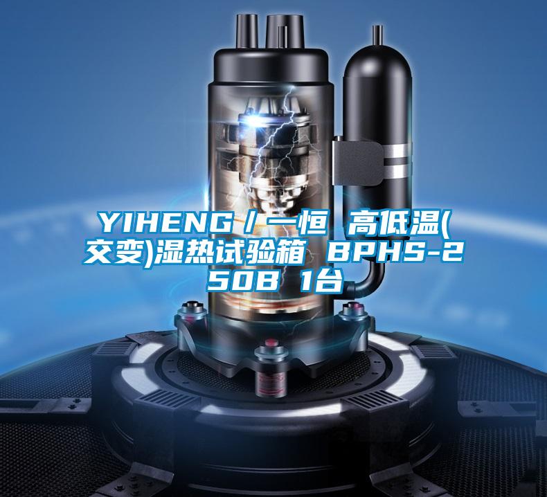 YIHENG／一恒 高低溫(交變)濕熱試驗(yàn)箱 BPHS-250B 1臺(tái)