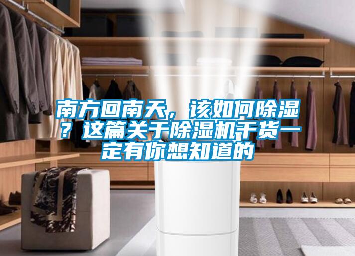 南方回南天，該如何除濕？這篇關于除濕機干貨一定有你想知道的