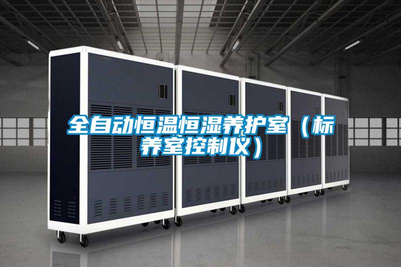 全自動恒溫恒濕養護室（標養室控制儀）