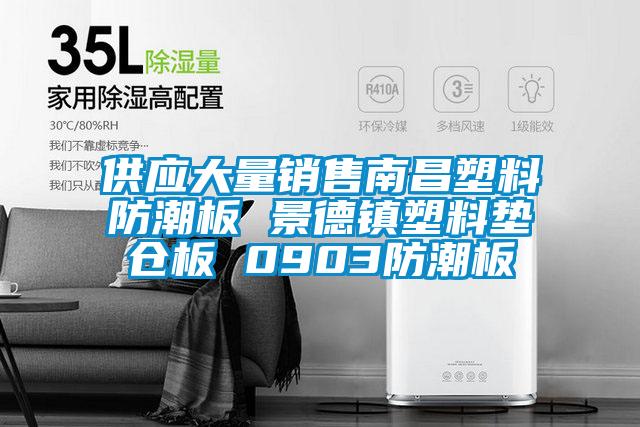 供應大量銷售南昌塑料防潮板 景德鎮塑料墊倉板 0903防潮板