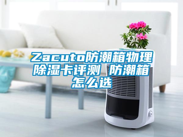Zacuto防潮箱物理除濕卡評測 防潮箱怎么選