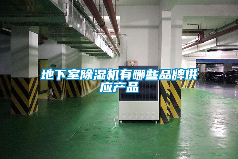 地下室除濕機(jī)有哪些品牌供應(yīng)產(chǎn)品