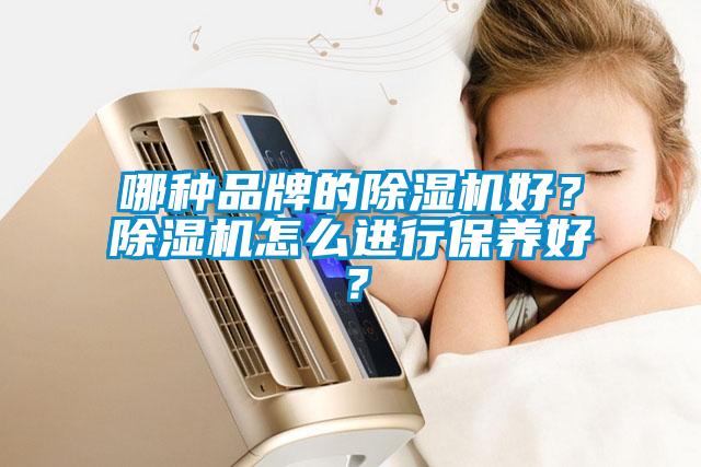 哪種品牌的除濕機好?除濕機怎么進行保養好?