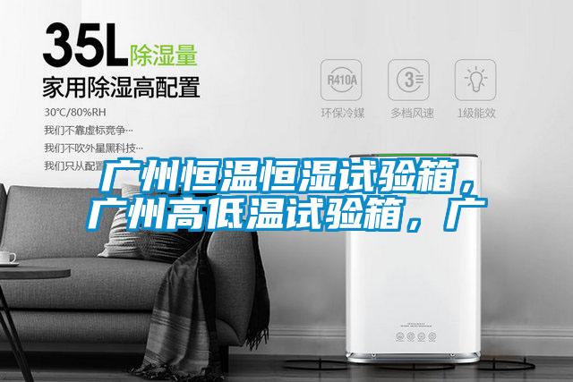 廣州恒溫恒濕試驗(yàn)箱，廣州高低溫試驗(yàn)箱，廣