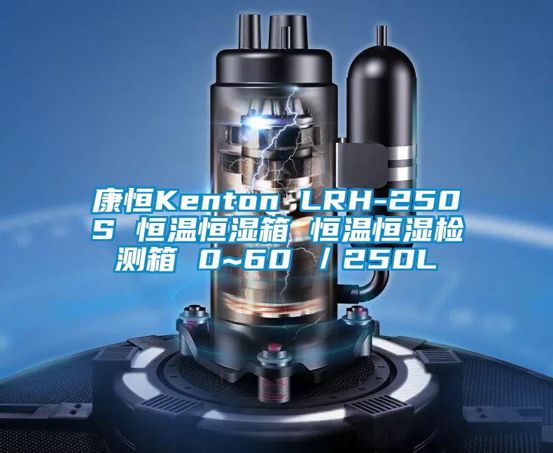 康恒Kenton LRH-250S 恒溫恒濕箱 恒溫恒濕檢測箱 0~60℃／250L