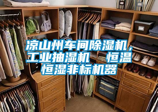 涼山州車間除濕機，工業抽濕機  恒溫恒濕非標機器