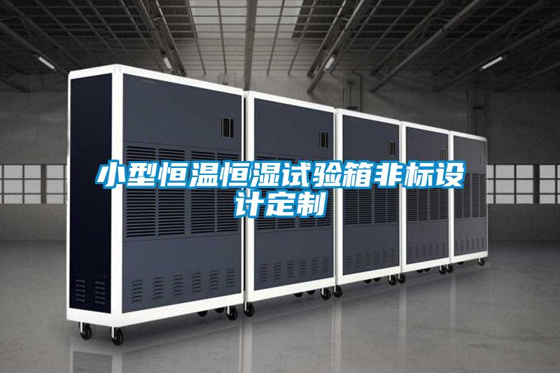 小型恒溫恒濕試驗箱非標設計定制