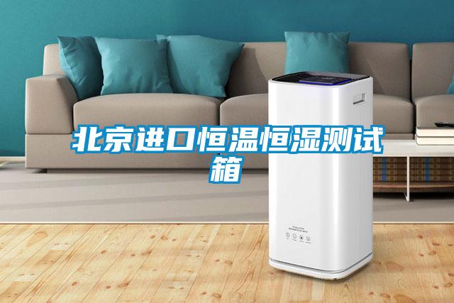 北京進口恒溫恒濕測試箱