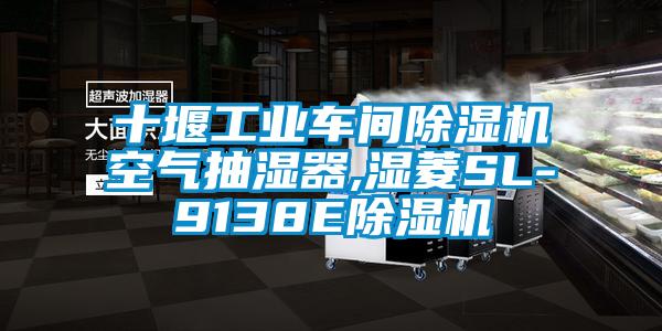 十堰工業車間除濕機空氣抽濕器,濕菱SL-9138E除濕機