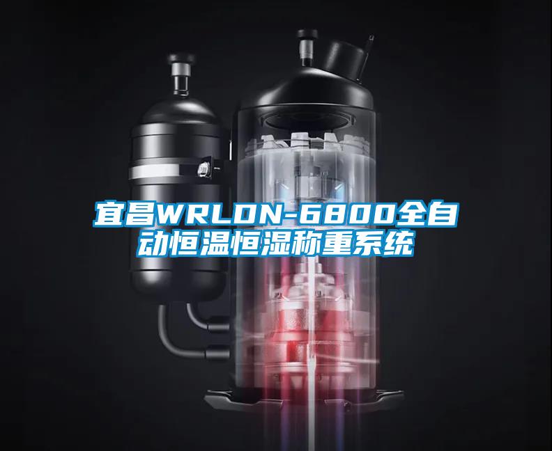 宜昌WRLDN-6800全自動恒溫恒濕稱重系統
