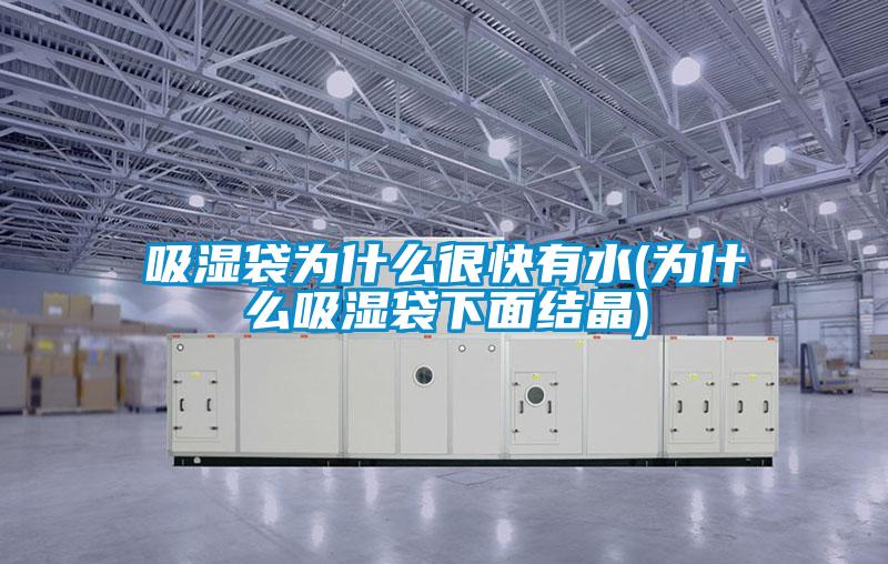 吸濕袋為什么很快有水(為什么吸濕袋下面結(jié)晶)