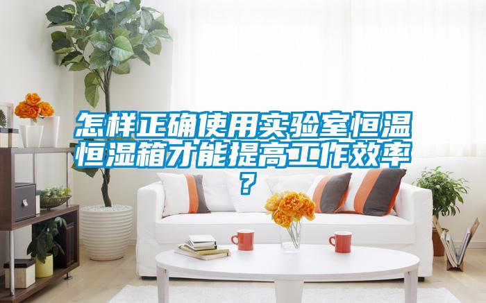 怎樣正確使用實驗室恒溫恒濕箱才能提高工作效率？