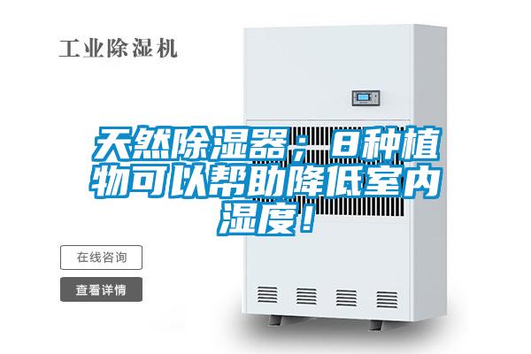 天然除濕器;8種植物可以幫助降低室內濕度!