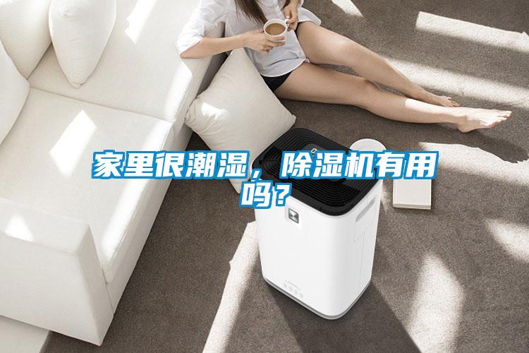 家里很潮濕，除濕機有用嗎？