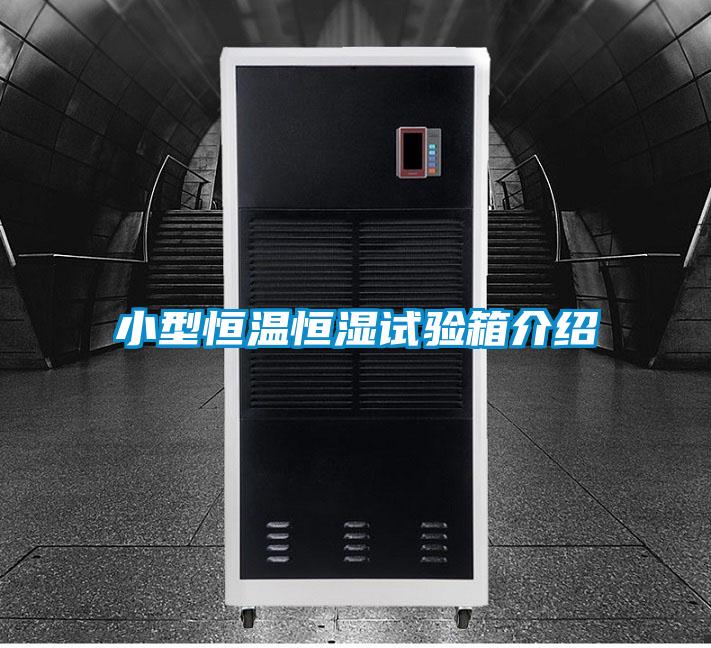 小型恒溫恒濕試驗(yàn)箱介紹