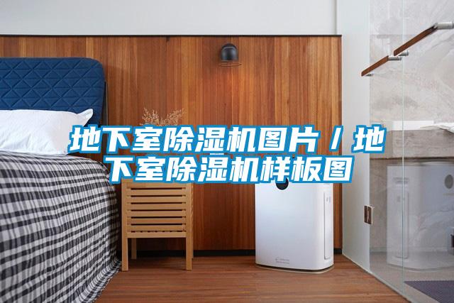 地下室除濕機圖片／地下室除濕機樣板圖
