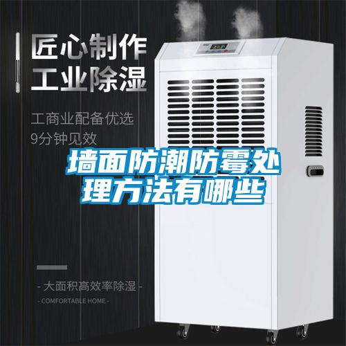 墻面防潮防霉處理方法有哪些