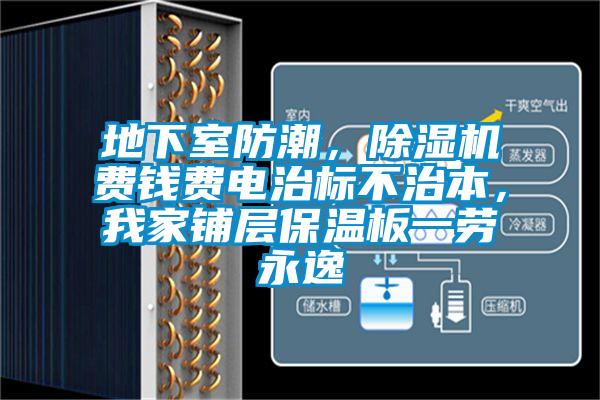 地下室防潮，除濕機費錢費電治標不治本，我家鋪層保溫板一勞永逸