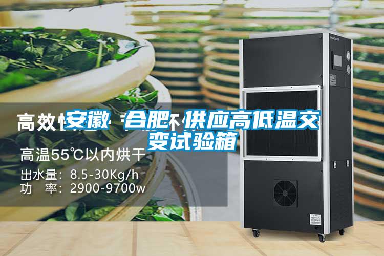 安徽 合肥 供應高低溫交變試驗箱