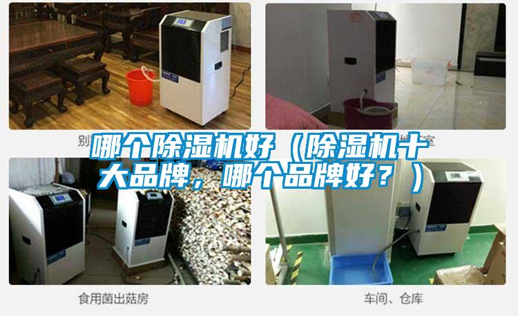 哪個除濕機好（除濕機十大品牌，哪個品牌好？）