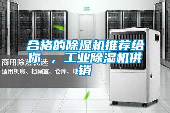 合格的除濕機推薦給你 ，工業除濕機供銷