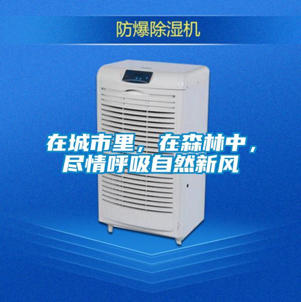 在城市里，在森林中，盡情呼吸自然新風