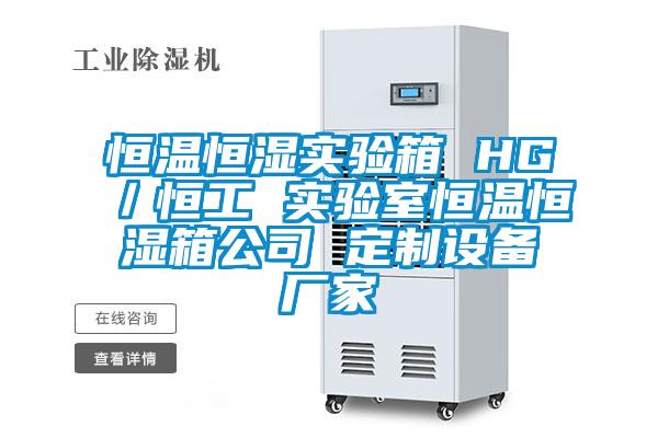 恒溫恒濕實驗箱 HG／恒工 實驗室恒溫恒濕箱公司 定制設備廠家