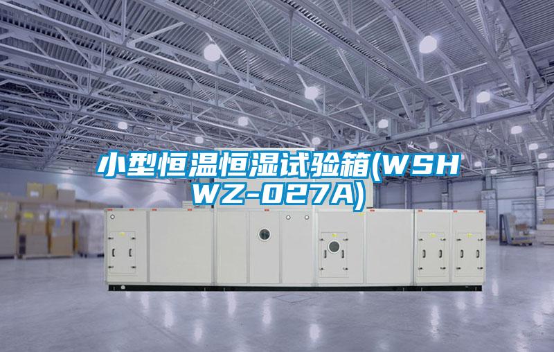 小型恒溫恒濕試驗箱(WSHWZ-027A)