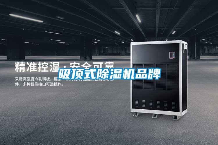 吸頂式除濕機品牌