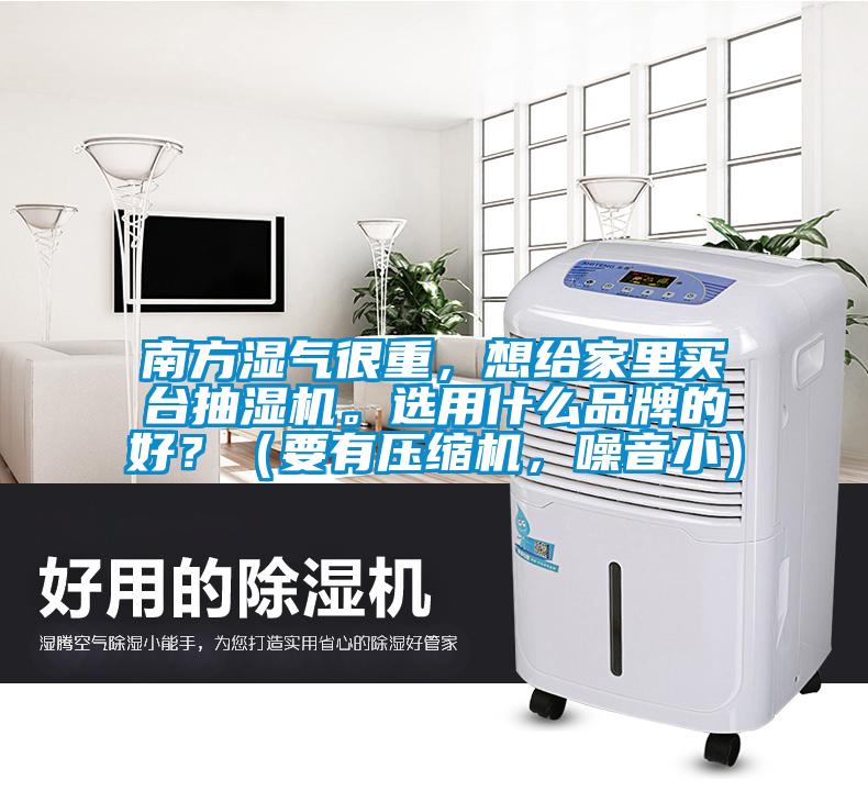 南方濕氣很重,想給家里買臺抽濕機。選用什么品牌的好?(要有壓縮機,噪音小)