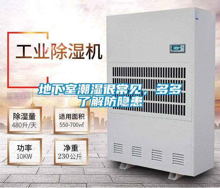 地下室潮濕很常見，多多了解防隱患