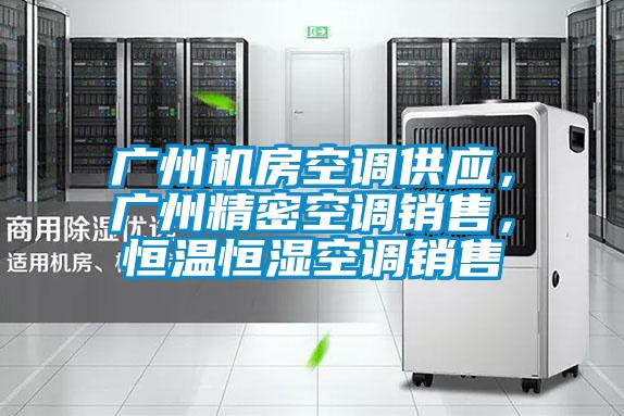 廣州機房空調供應，廣州精密空調銷售，恒溫恒濕空調銷售