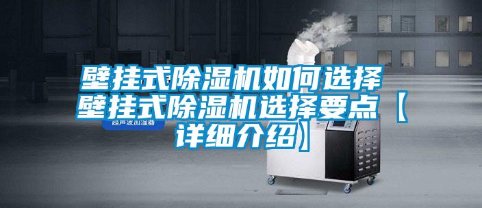 壁掛式除濕機(jī)如何選擇 壁掛式除濕機(jī)選擇要點【詳細(xì)介紹】
