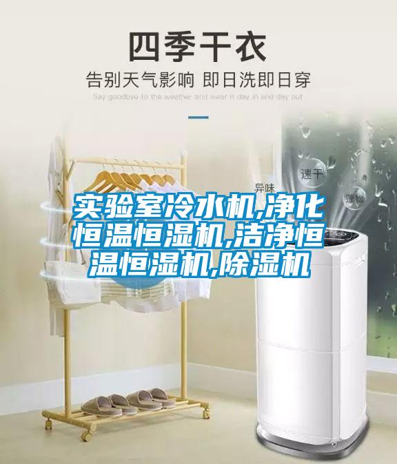 實驗室冷水機,凈化恒溫恒濕機,潔凈恒溫恒濕機,除濕機