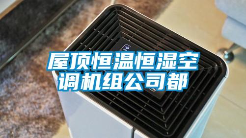 屋頂恒溫恒濕空調機組公司都