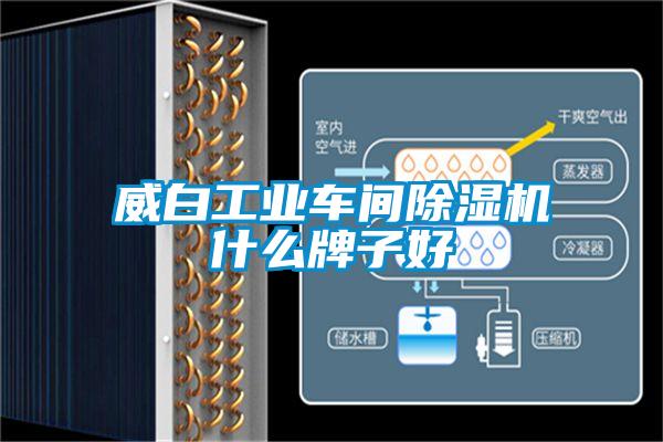 威白工業(yè)車(chē)間除濕機(jī)什么牌子好