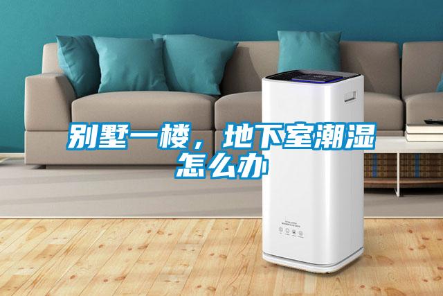 別墅一樓,地下室潮濕怎么辦