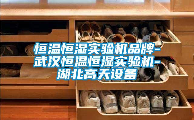恒溫恒濕實驗機品牌-武漢恒溫恒濕實驗機-湖北高天設備