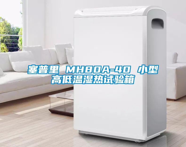 塞普里 MH80A-40 小型高低溫濕熱試驗箱