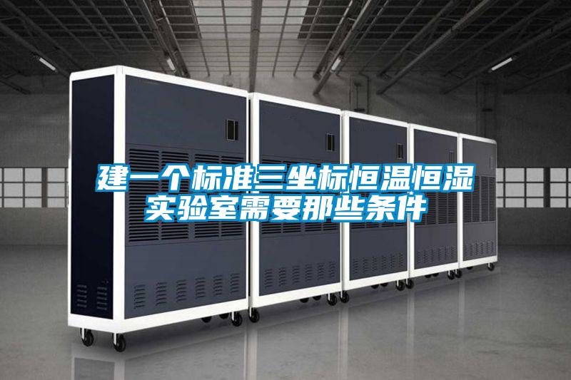 建一個標準三坐標恒溫恒濕實驗室需要那些條件