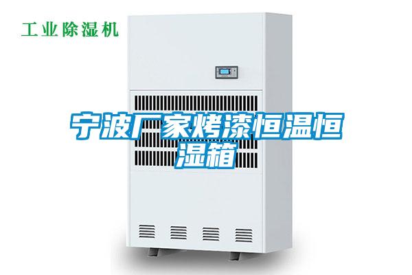 寧波廠家烤漆恒溫恒濕箱