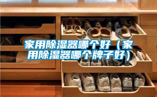 家用除濕器哪個好(家用除濕器哪個牌子好)