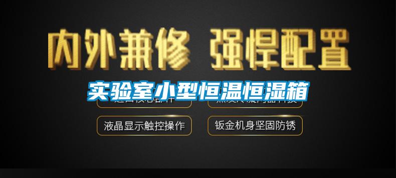 實驗室小型恒溫恒濕箱