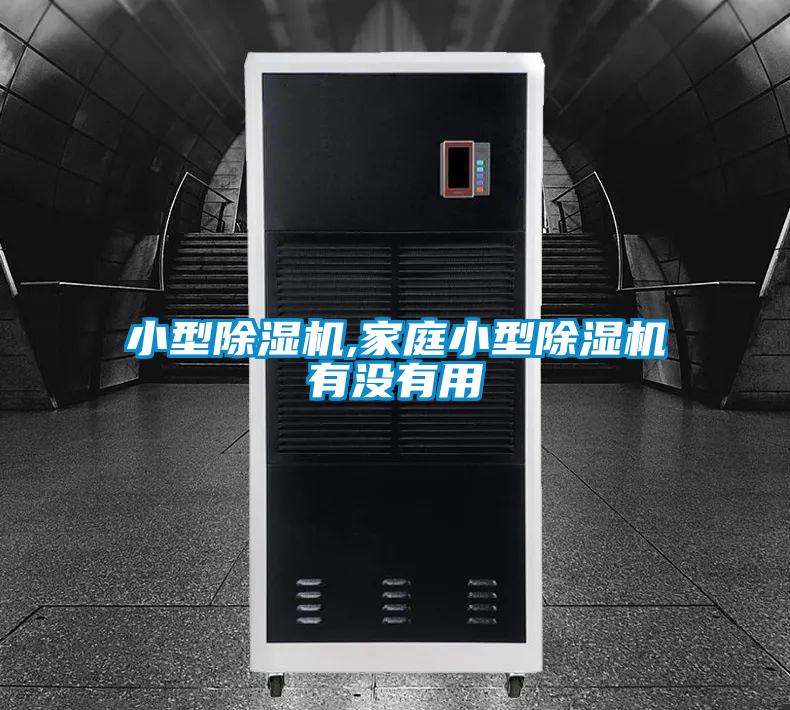 小型除濕機,家庭小型除濕機有沒有用