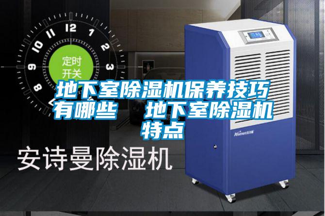 地下室除濕機(jī)保養(yǎng)技巧有哪些 地下室除濕機(jī)特點(diǎn)